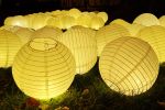 LAMPION